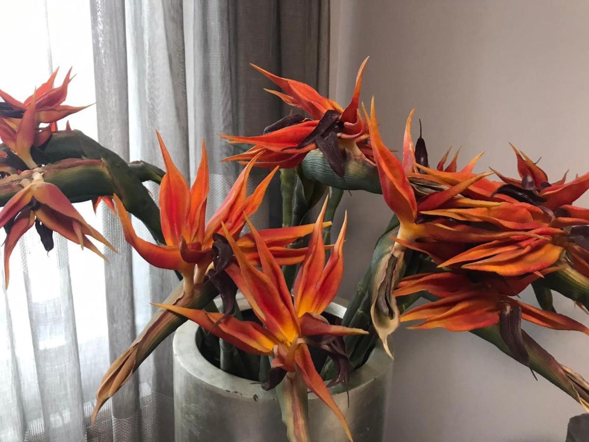 Apartment The Orchid 索菲亞 外观 照片